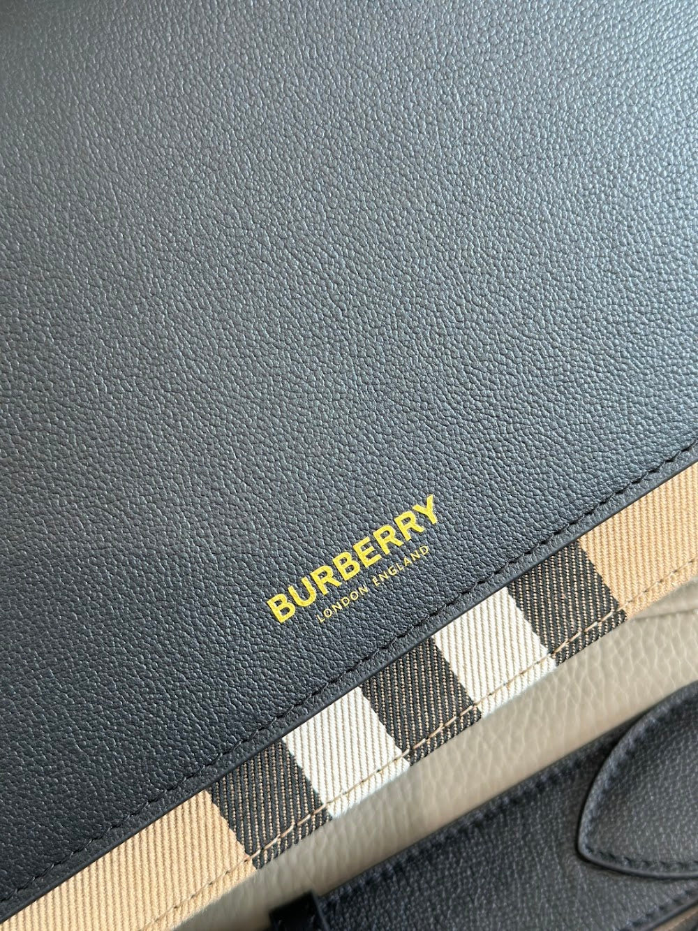 Dragons Bags Burberryn Luxury Bag --92924