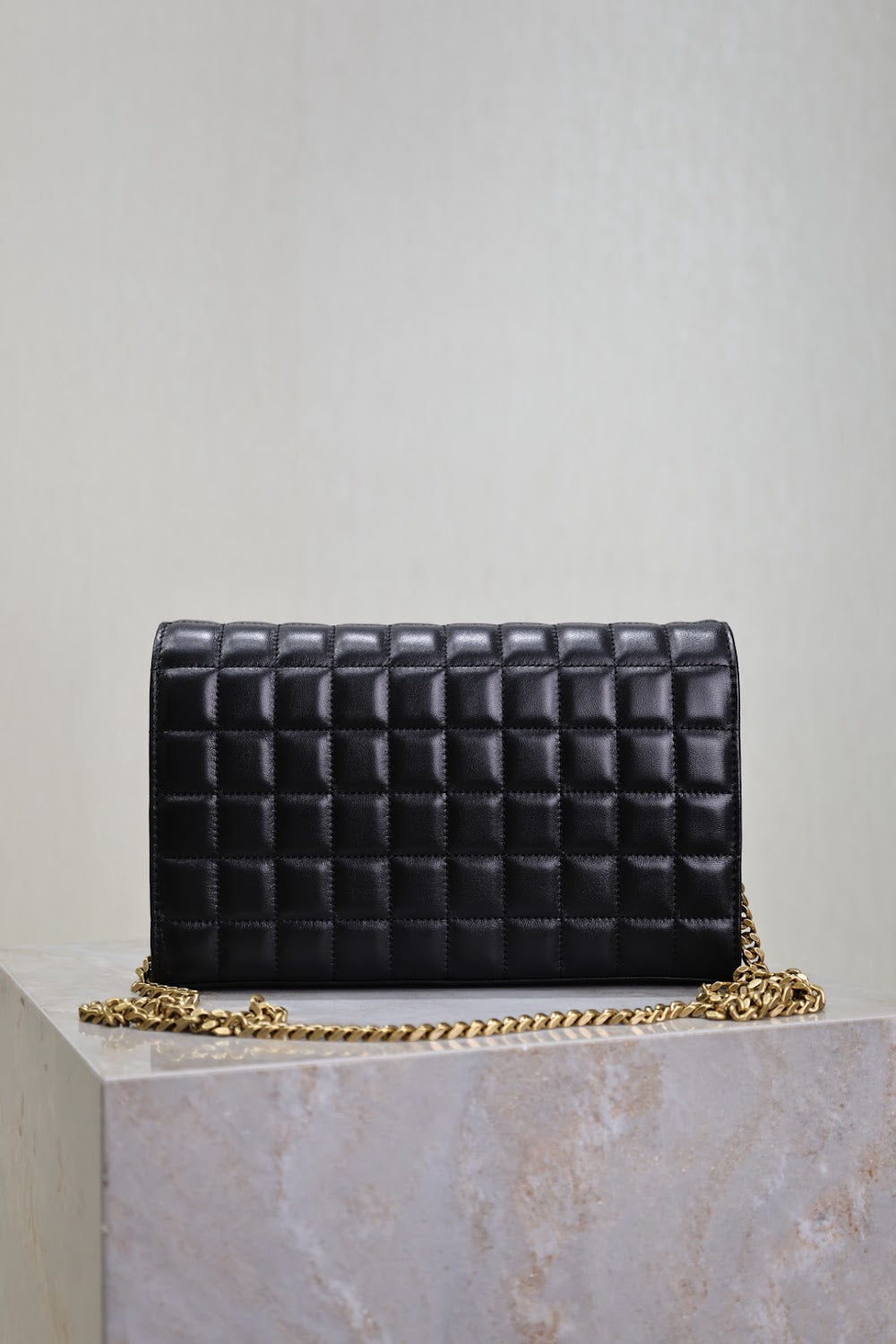 Dragons Bags YSLn Luxury Bag --119663