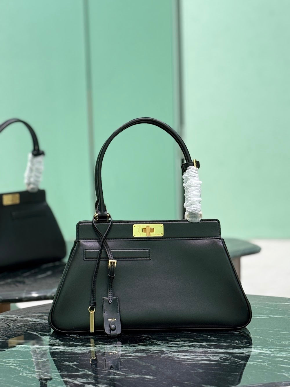 Dragons Bags Pradn Luxury Bag --102284