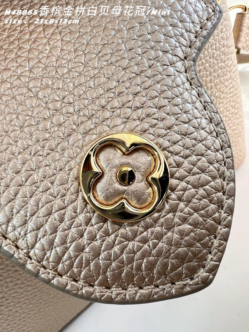 Dragons Bags ln Luxury Bag --96692