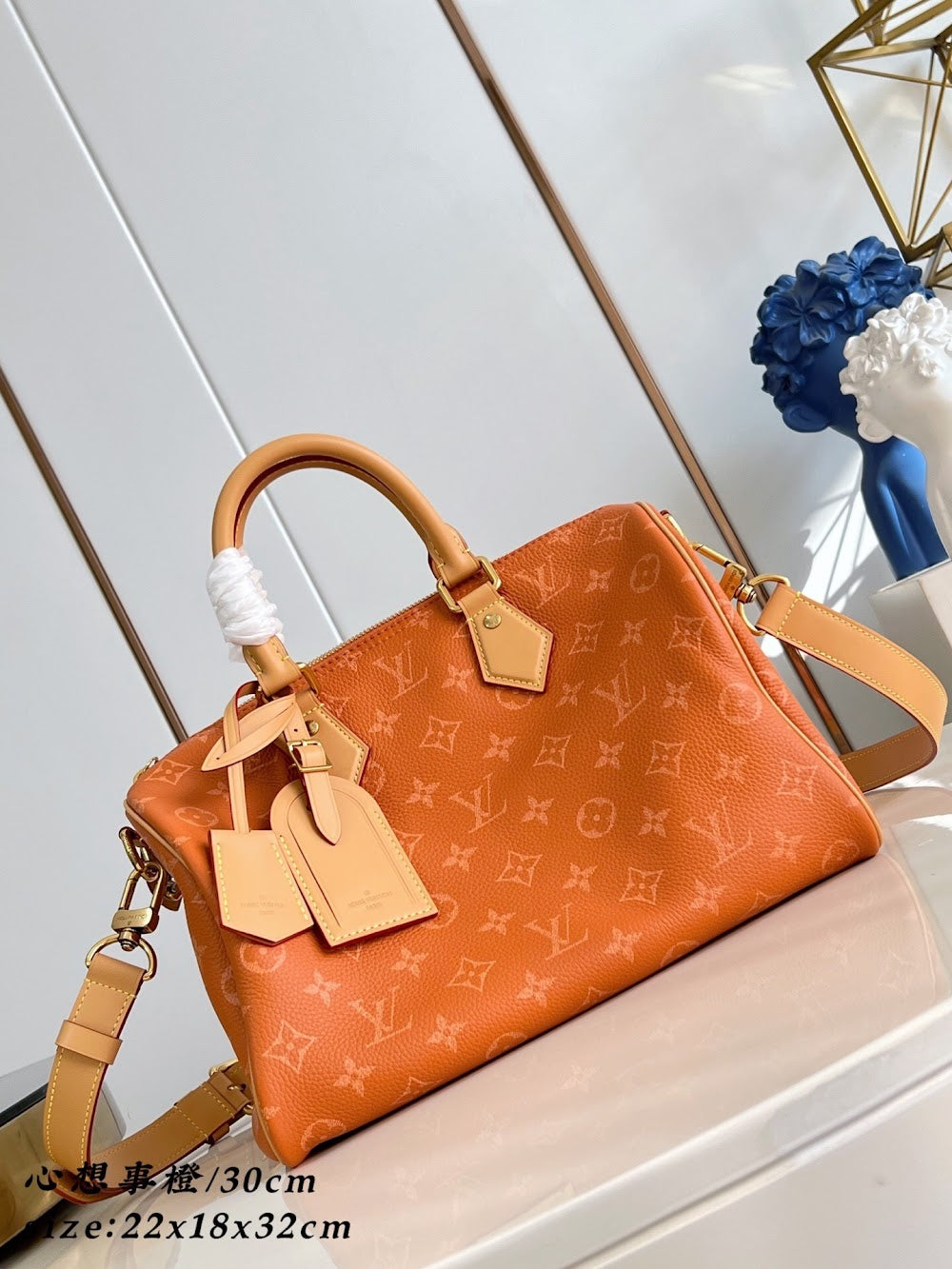 Dragons Bags ln Luxury Bag --96532