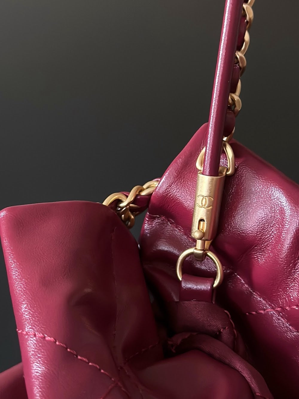 Dragons BagsCHn Luxury Bag --114344