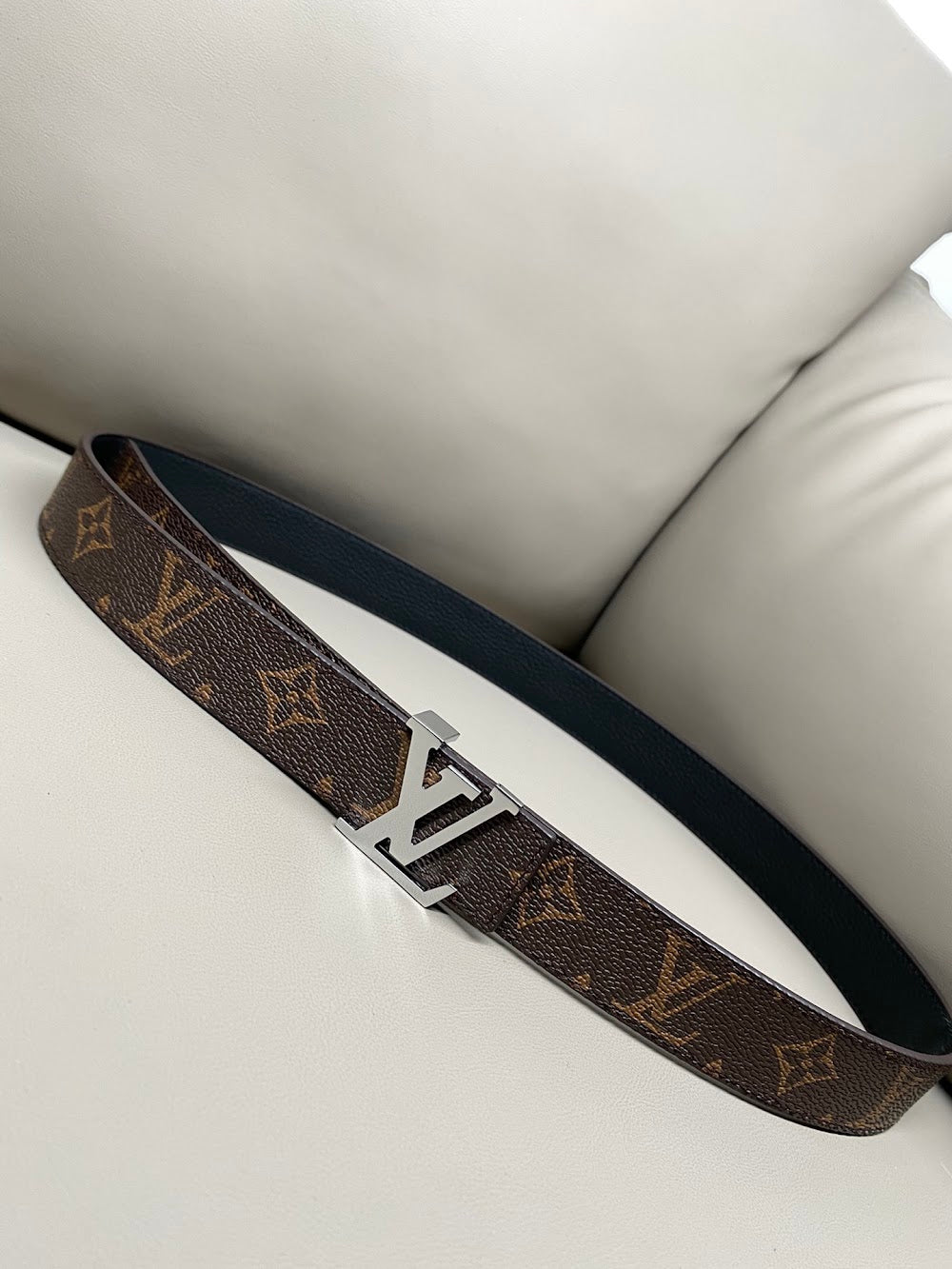 Dragons Bags ln Luxury Belt --106677