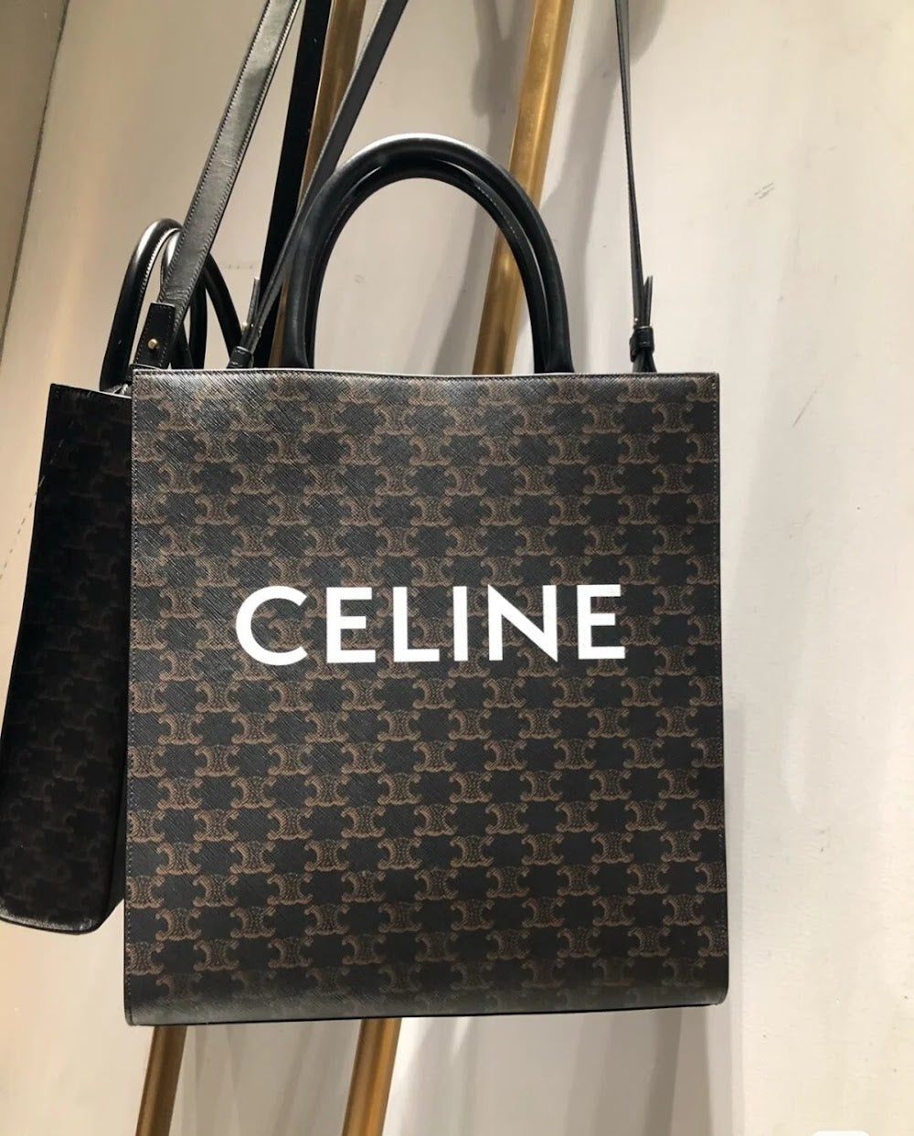 Dragons Bags Celine Luxury Bag --112295