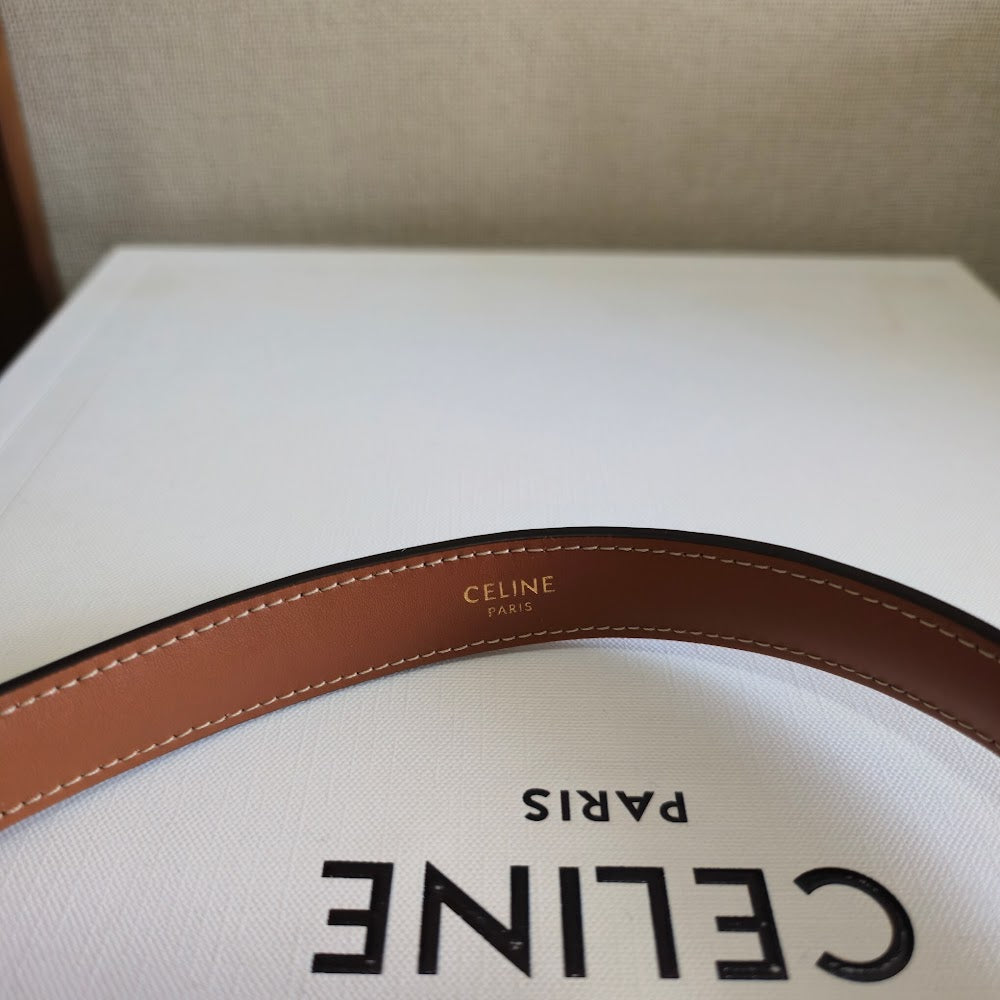 Dragons Bags Celine Luxury Bag --112243