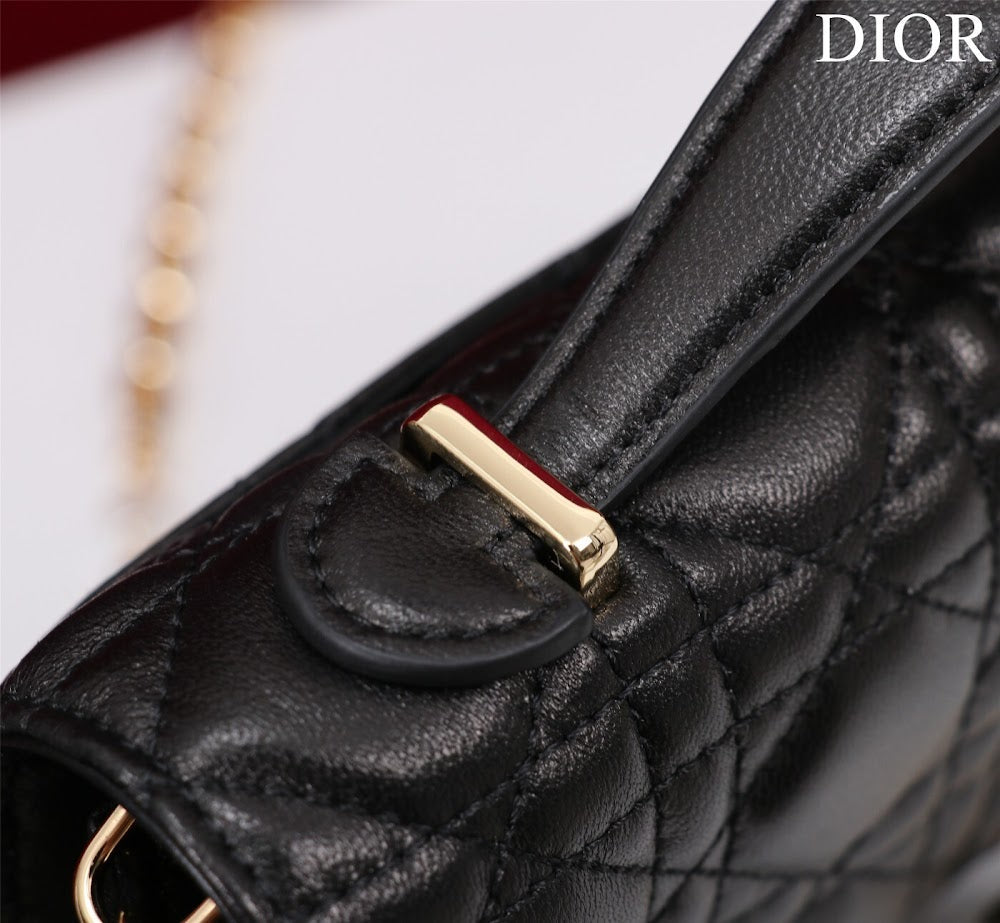 Dragons BagsDiorn Luxury Bag --116234
