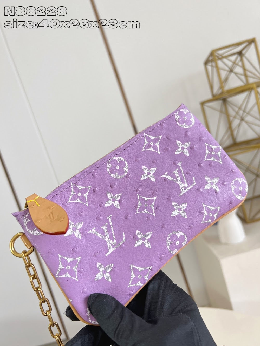 Dragons Bags ln Luxury Bag --97505