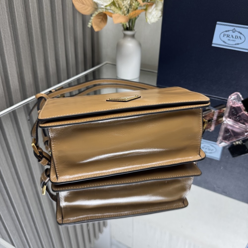 Dragons Bags Pradn Luxury Bag --102812