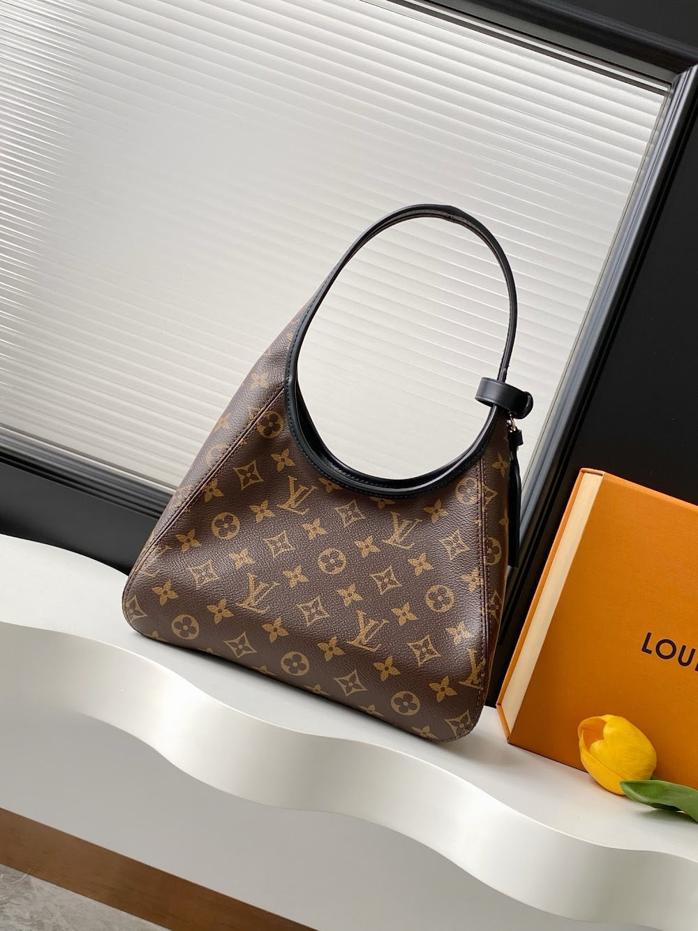 Dragons Bags LVn Luxury Bag --79677