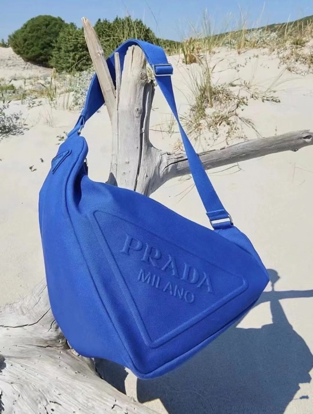 Dragons Bags Pradn Luxury Bag --102646