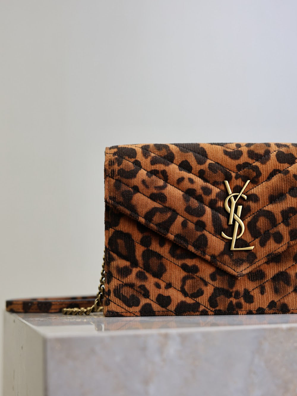 Dragons Bags YSLn Luxury Bag --119648