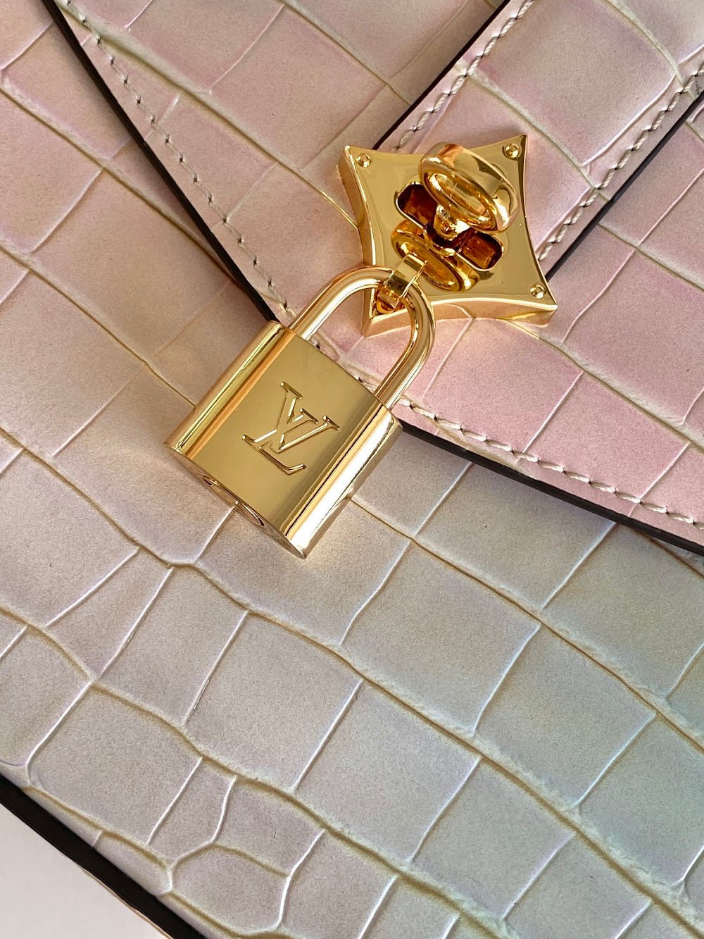 Dragons Bags ln Luxury Bag --96262