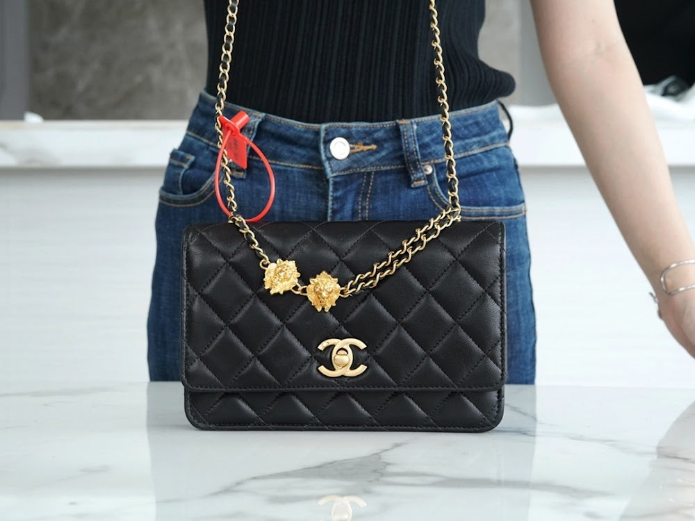 new-luxury-designer-bags-nm10052