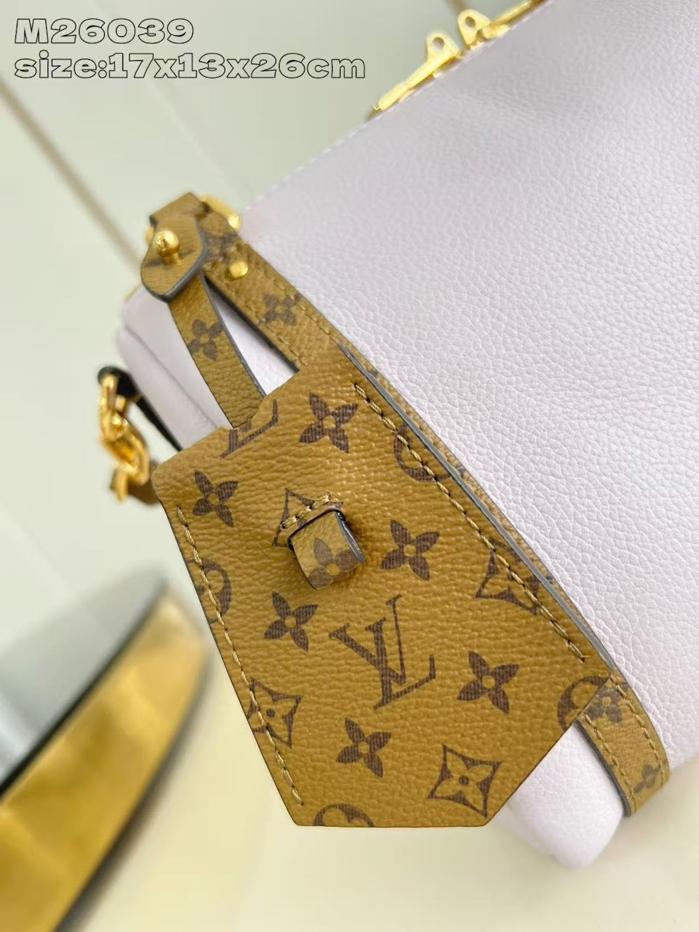 Dragons Bags ln Luxury Bag --95885