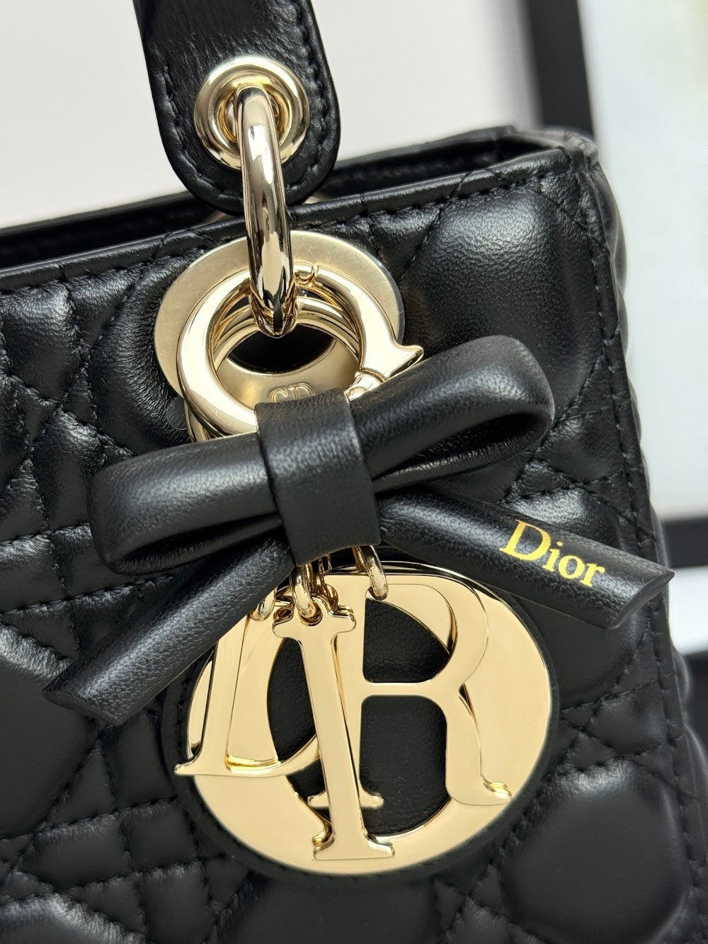 Dragons BagsDiorn Luxury Bag --114951