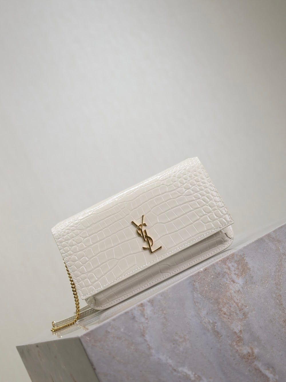 Dragons Bags YSLn Luxury Bag --120475