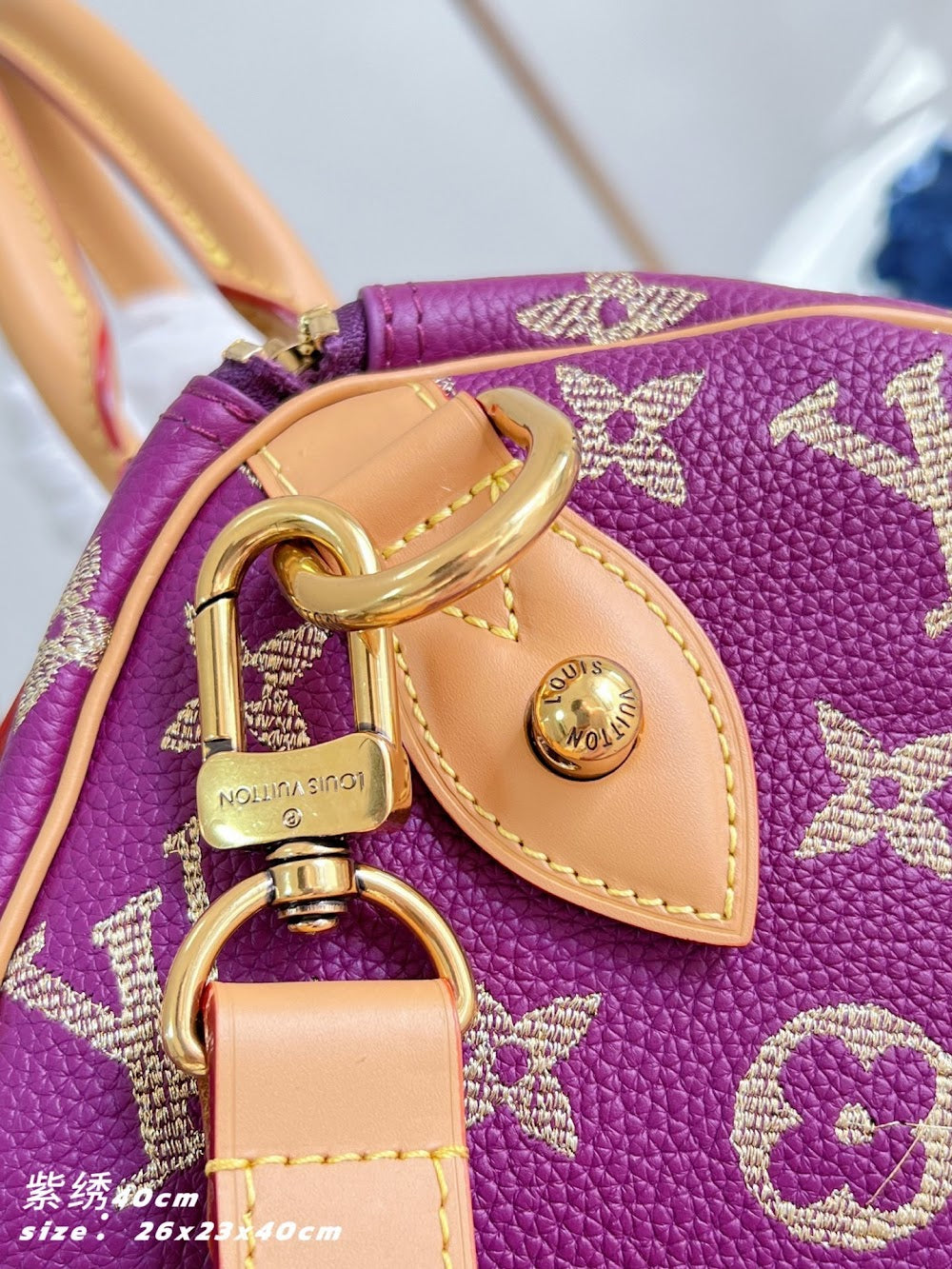 Dragons Bags ln Luxury Bag --95983