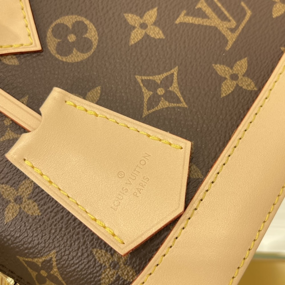 Dragons Bags LVn Luxury Bag --80181