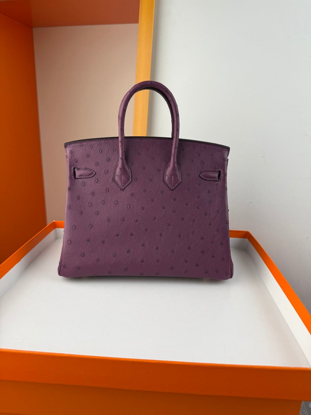 Dragons BagsHermesn Luxury Bag --116761