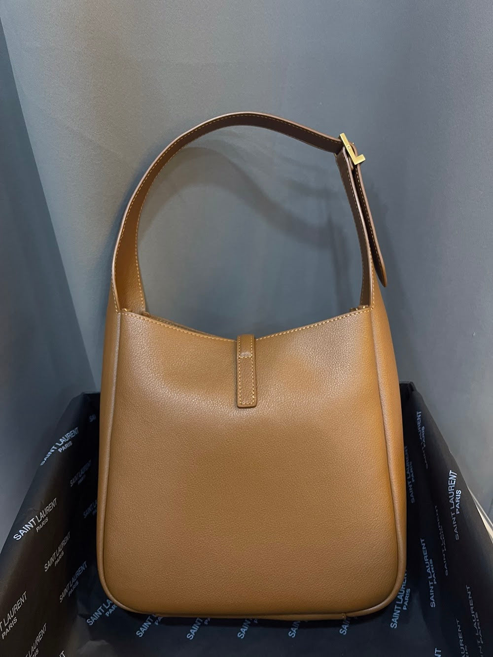 Dragons Bags YSLn Luxury Bag --119081