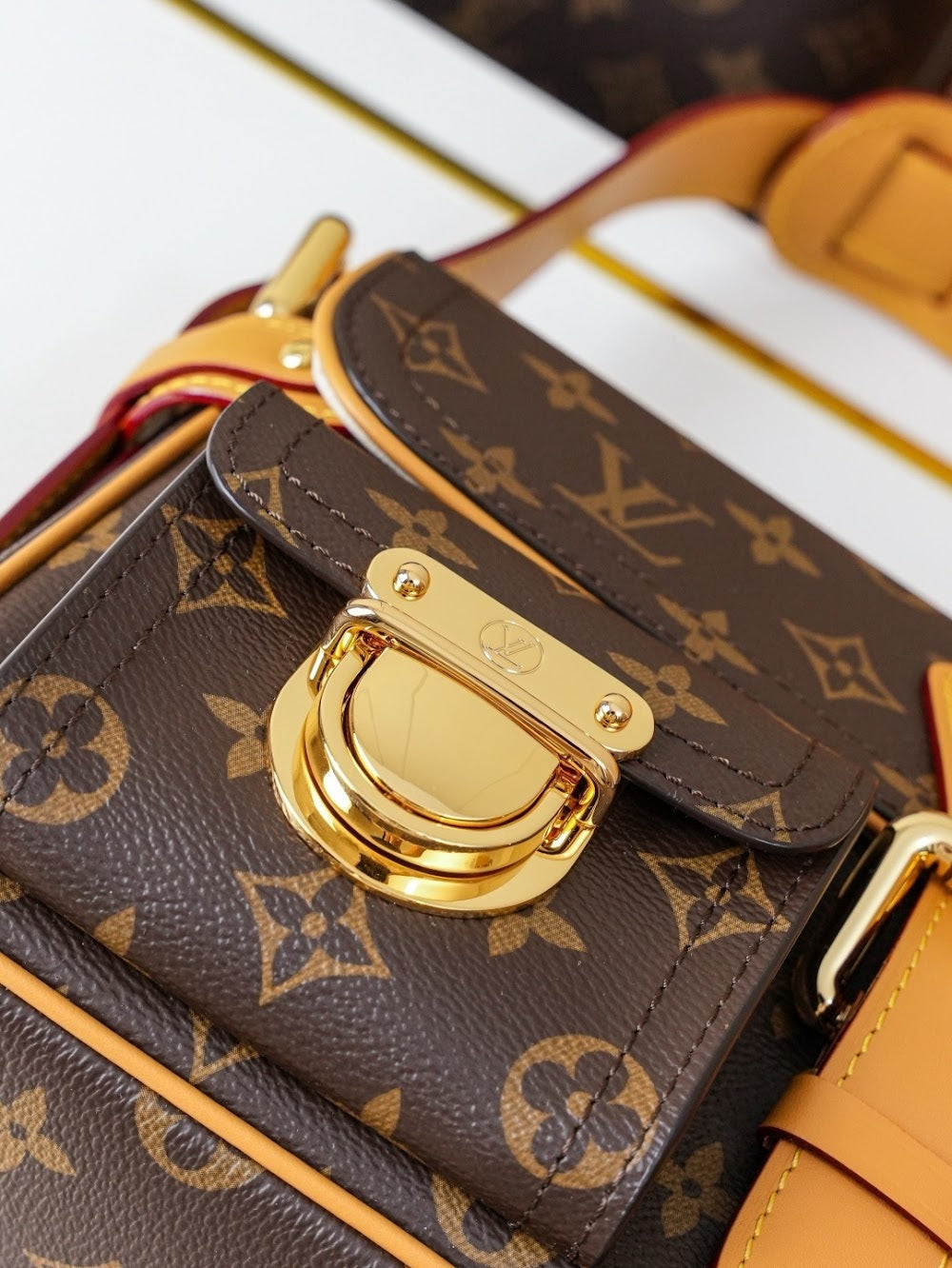 Dragons Bags LVn Luxury Bag --80499