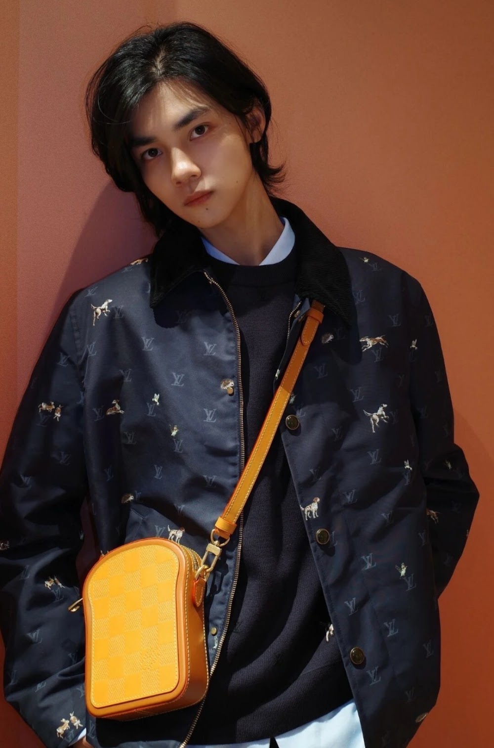 Dragons Bags ln Luxury Bag --95775