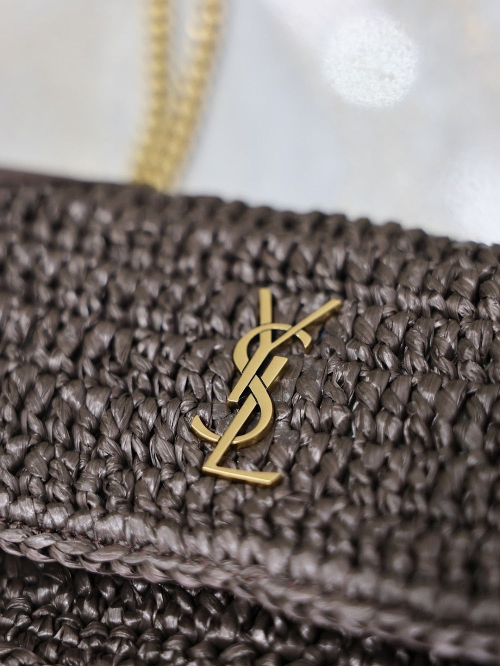 Dragons Bags YSLn Luxury Bag --119852