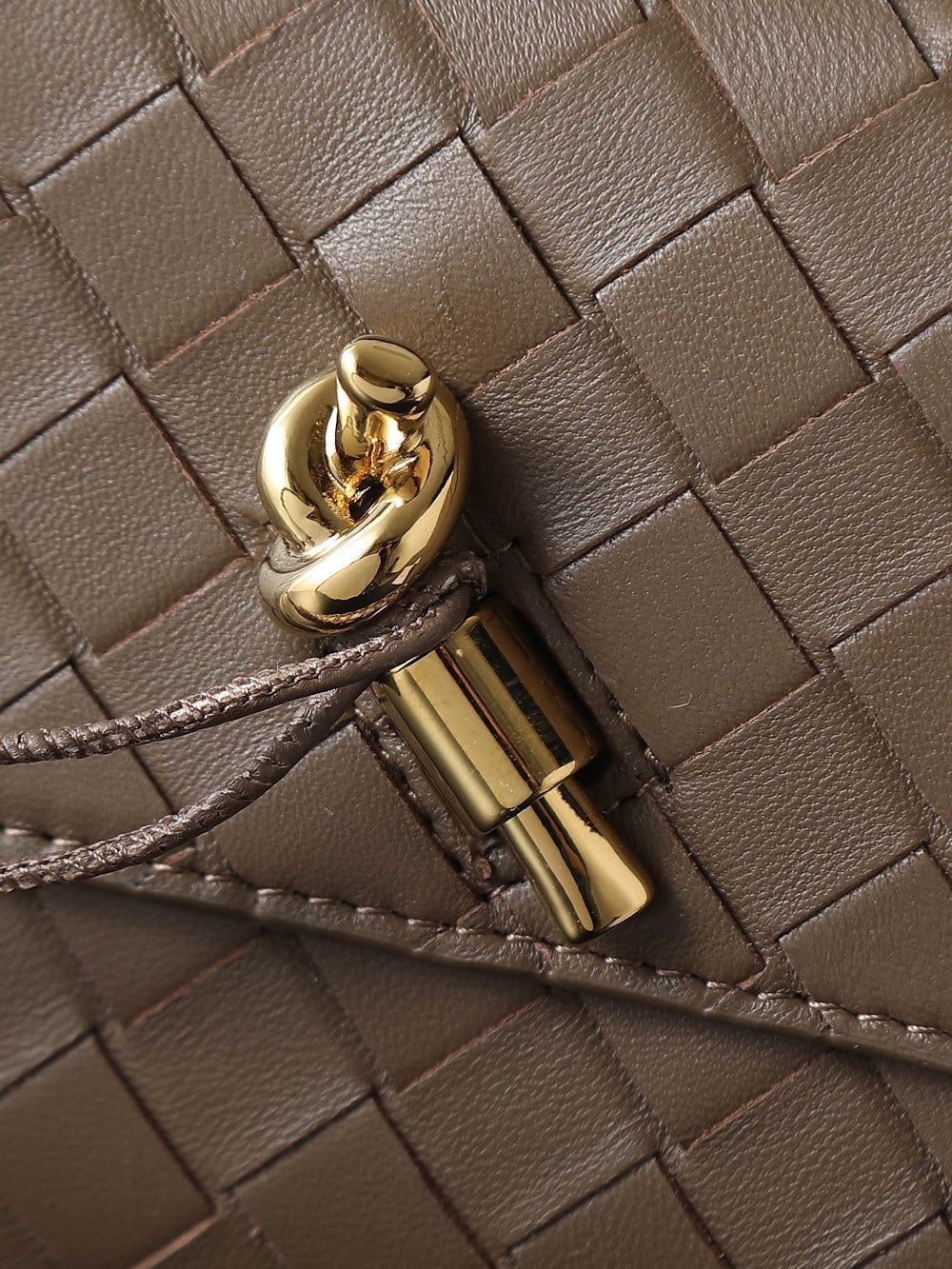 Dragons Bags Bottegan Luxury Bag --91400