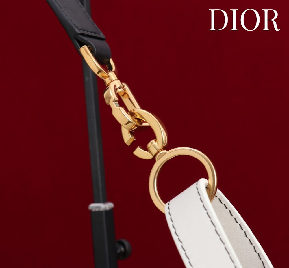 Dragons BagsDiorn Luxury Bag --116115