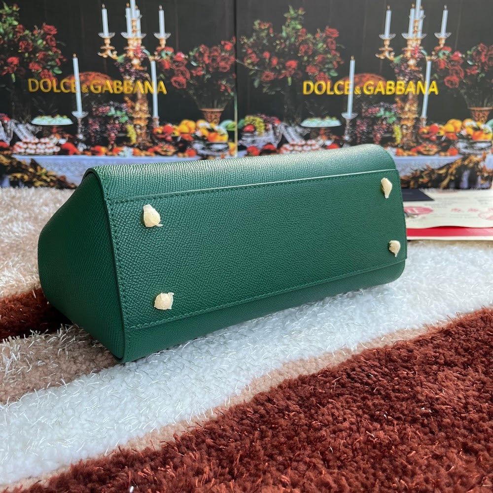 Dragons Bags DGn Luxury Bag --93987