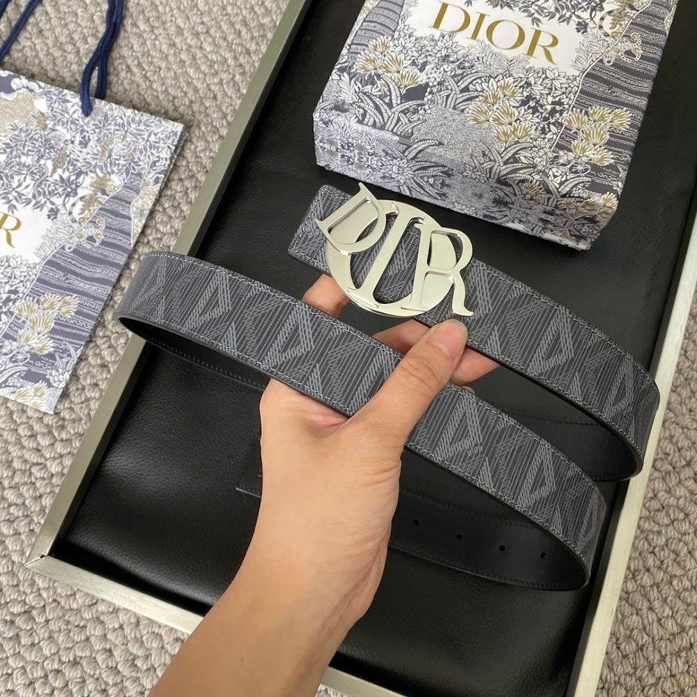 Dragons Bags Diorn Luxury Belt --104897