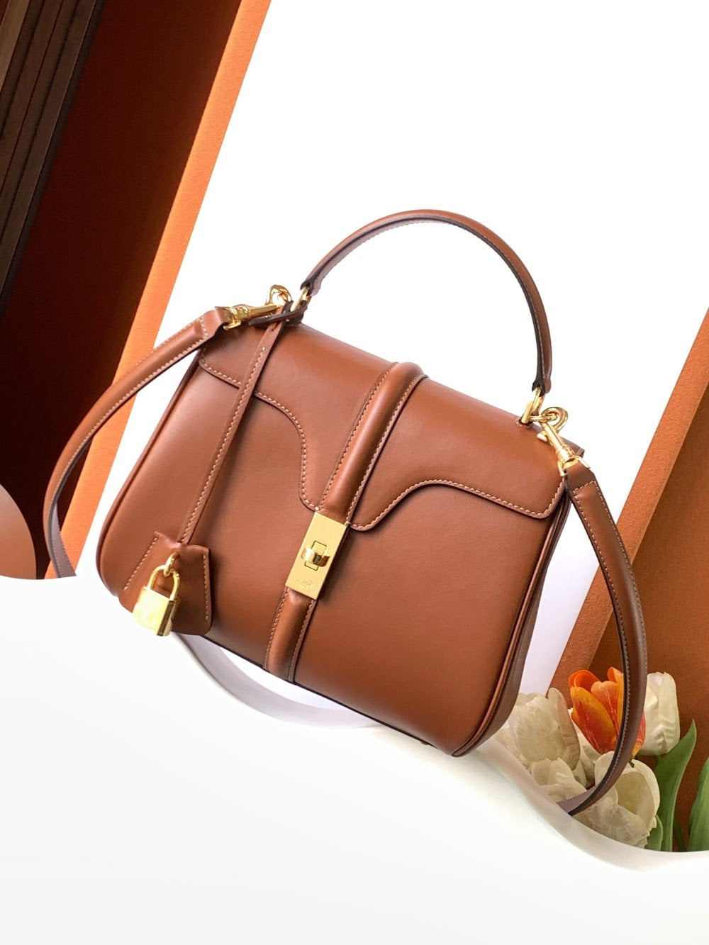 Dragons Bags Celine Luxury Bag --112178