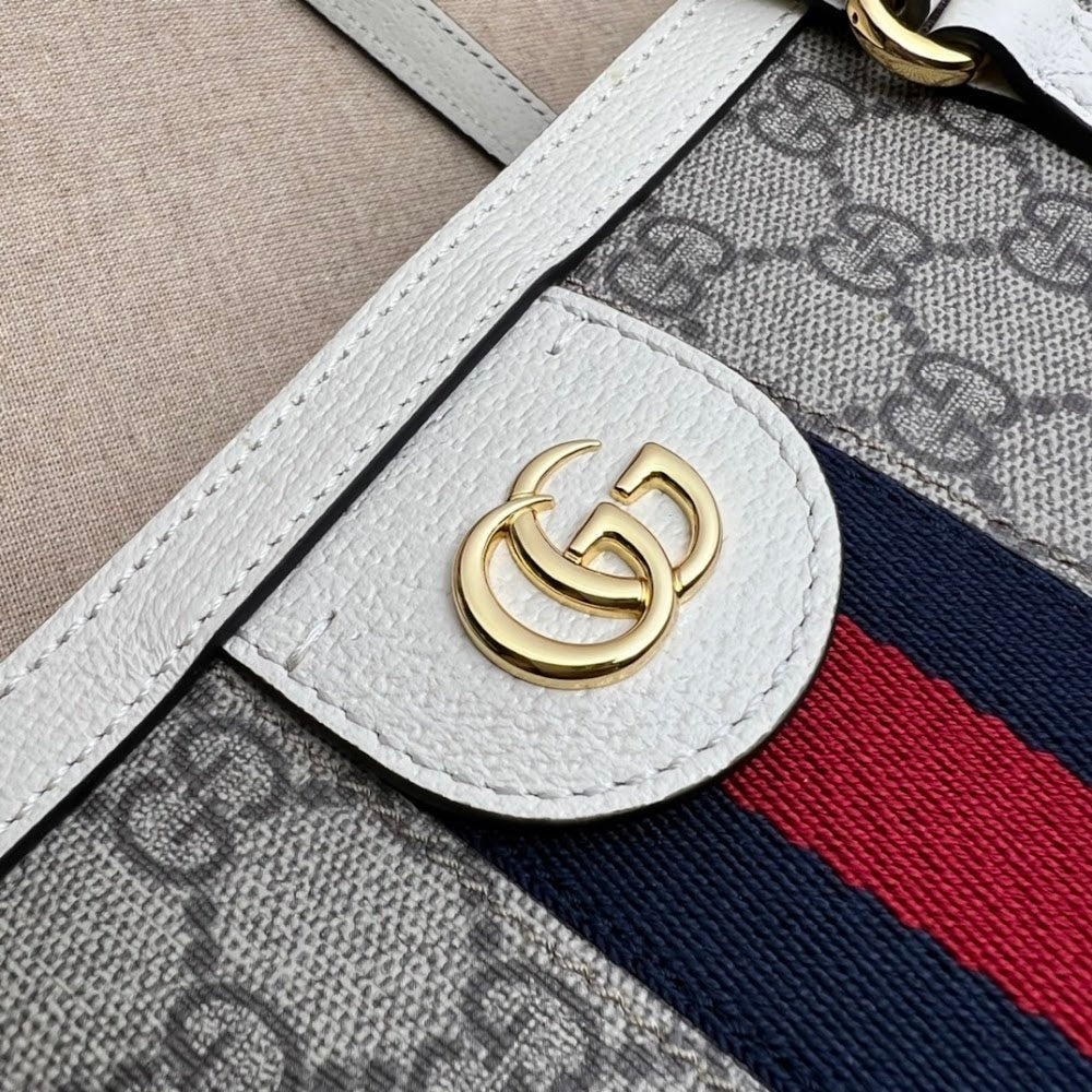 Dragons Bags Guccin Luxury Bag --95510