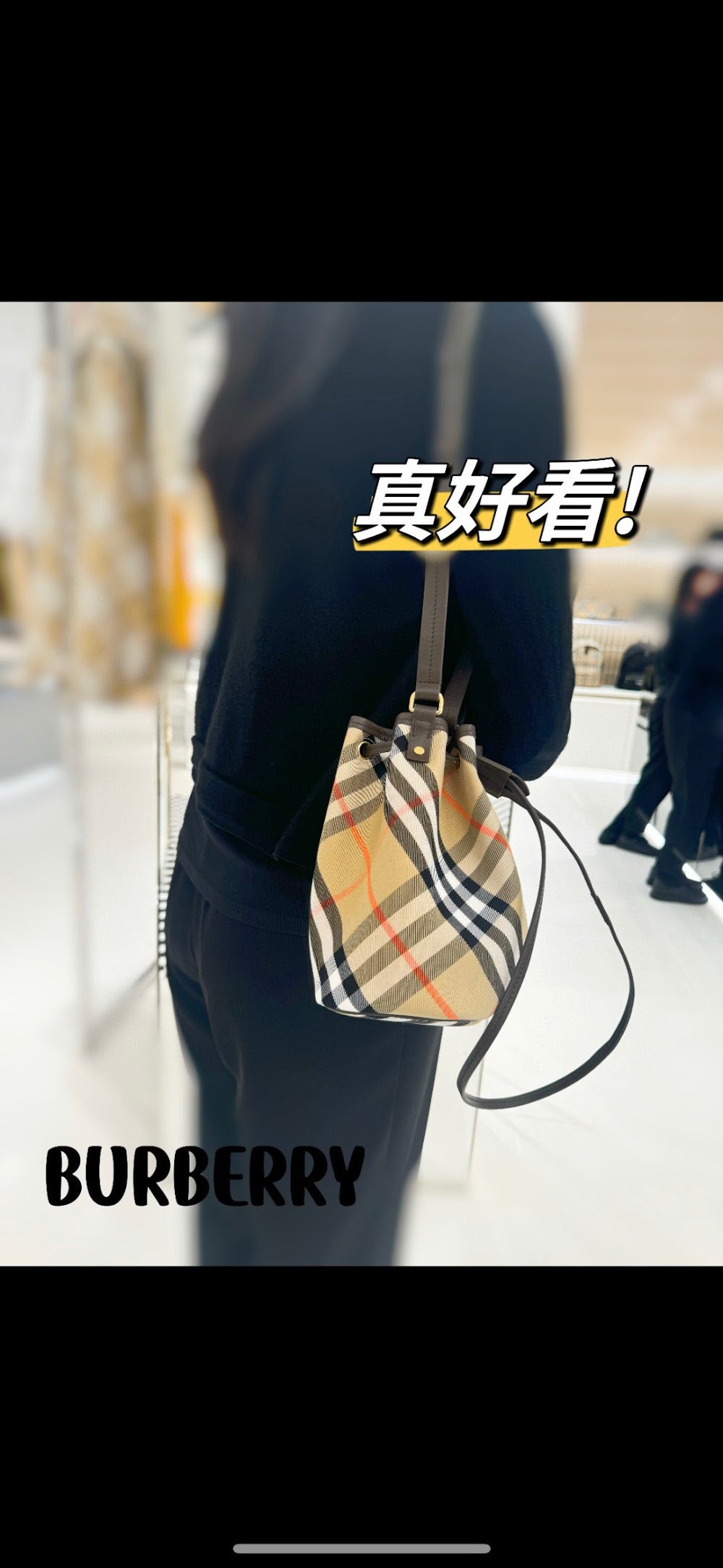 Dragons Bags Burberryn Luxury Bag --91848