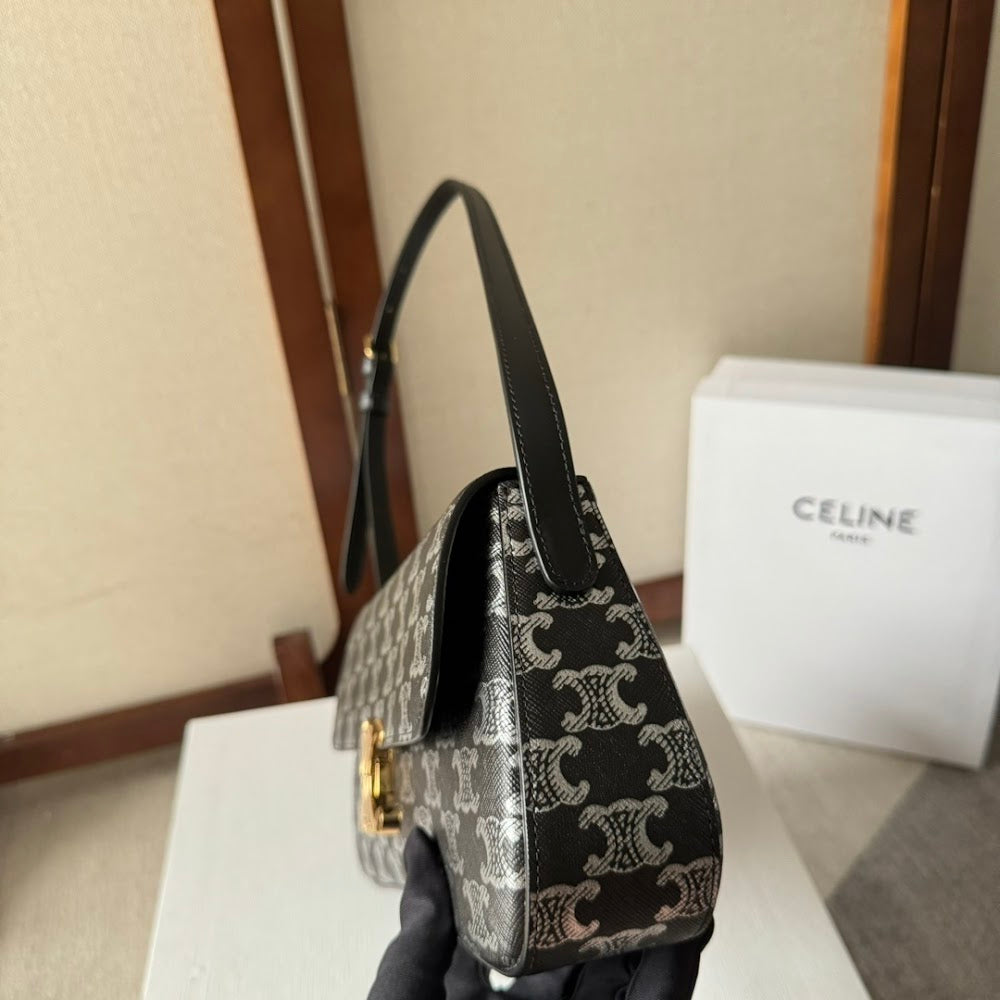 Dragons Bags Celine Luxury Bag --112507