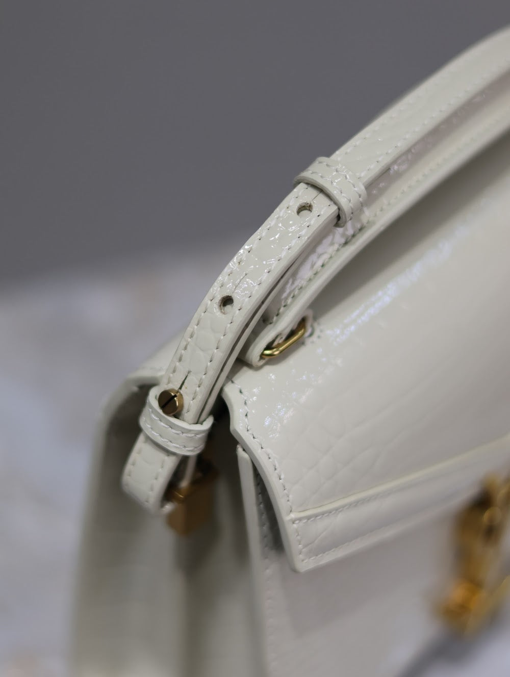 Dragons Bags YSLn Luxury Bag --119781