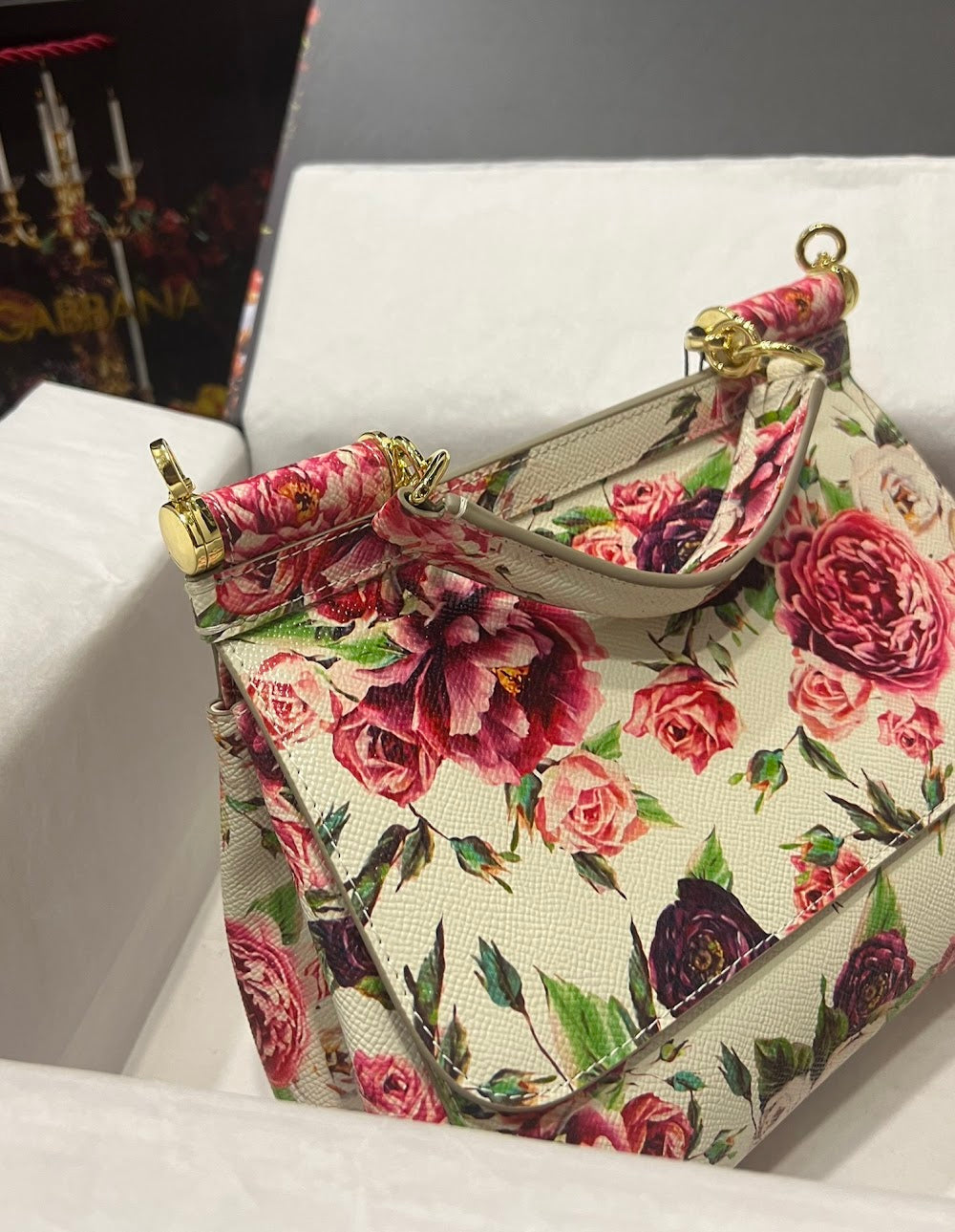 Dragons Bags DGn Luxury Bag --93911