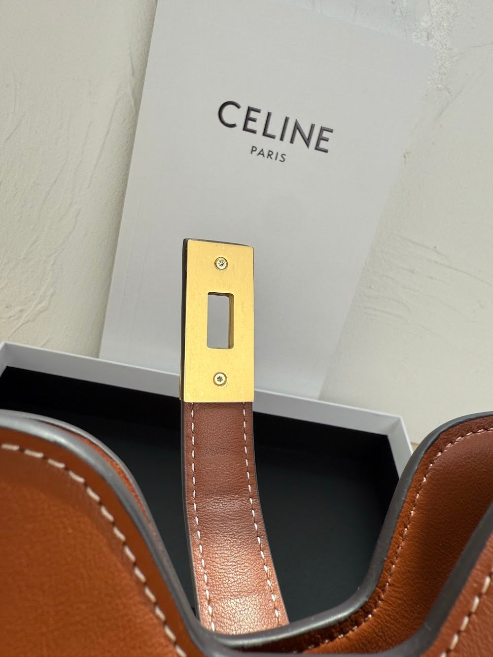 Dragons Bags Celine Luxury Bag --112434