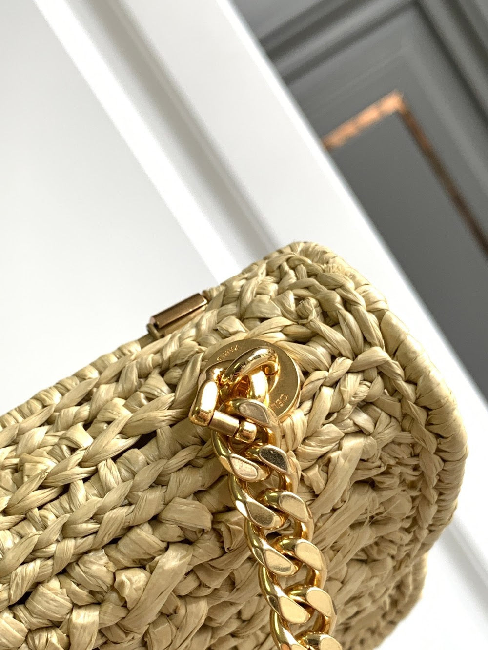Dragons Bags Celine Luxury Bag --112067