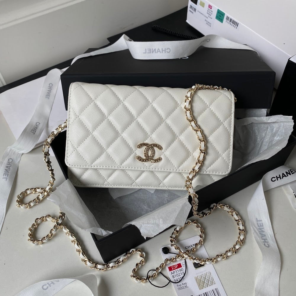 new-luxury-designer-bags-nm10042