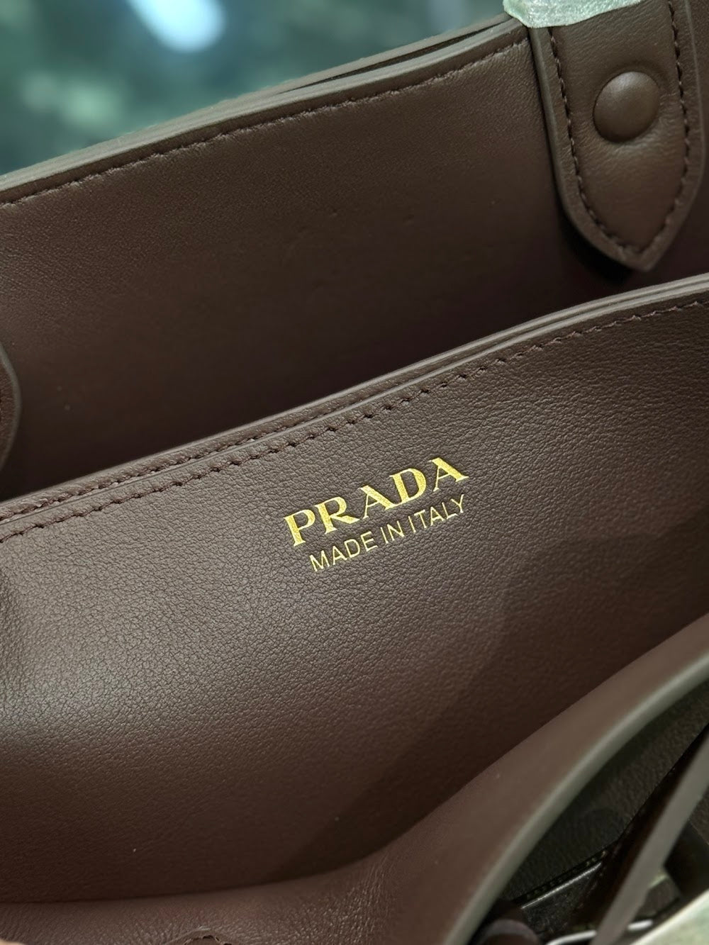 Dragons Bags Pradn Luxury Bag --102295