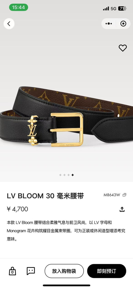 Dragons Bags ln Luxury Belt --100266