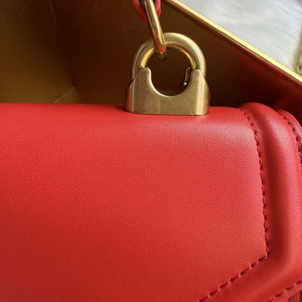 Dragons Bags DGn Luxury Bag --93905