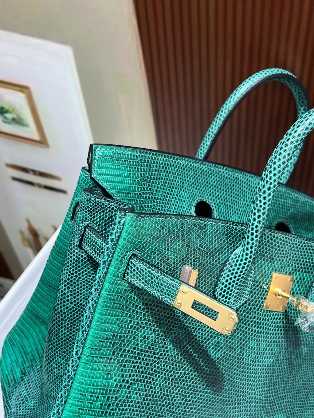 Dragons BagsHermesn Luxury Bag --116732