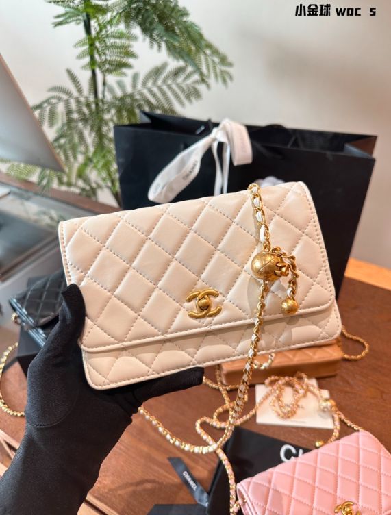 new-designer-premium-bags-nm10235