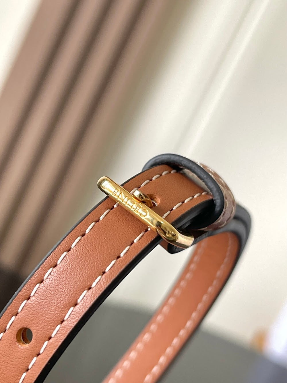 Dragons Bags Celine Luxury Bag --112321