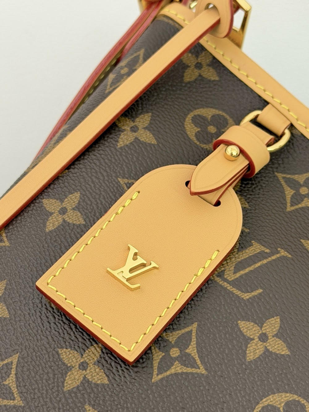 Dragons Bags ln Luxury Bag --96382