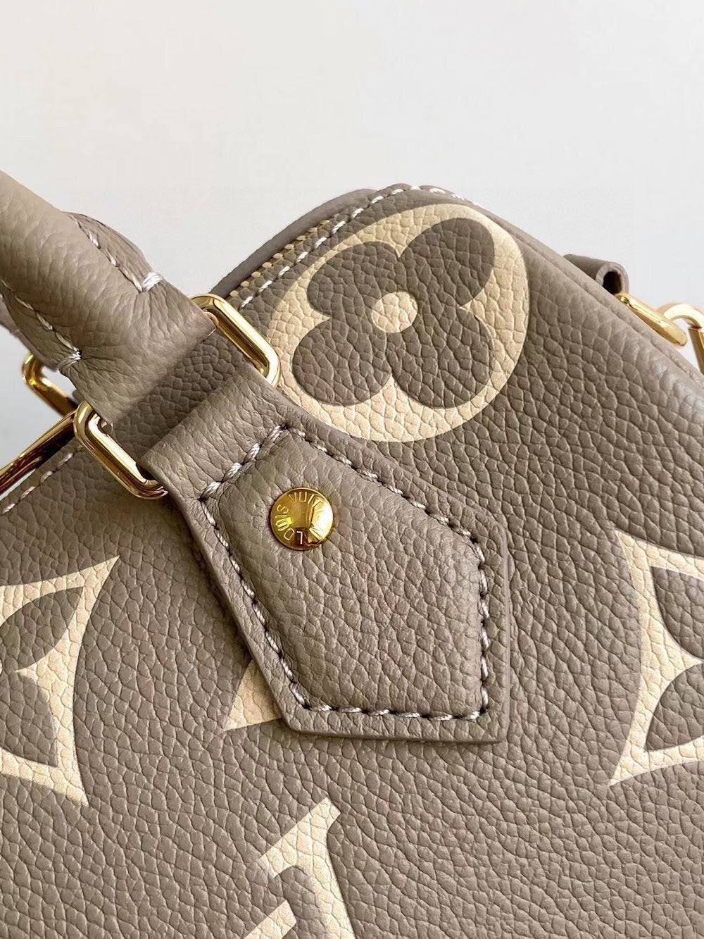 Dragons Bags ln Luxury Bag --96948