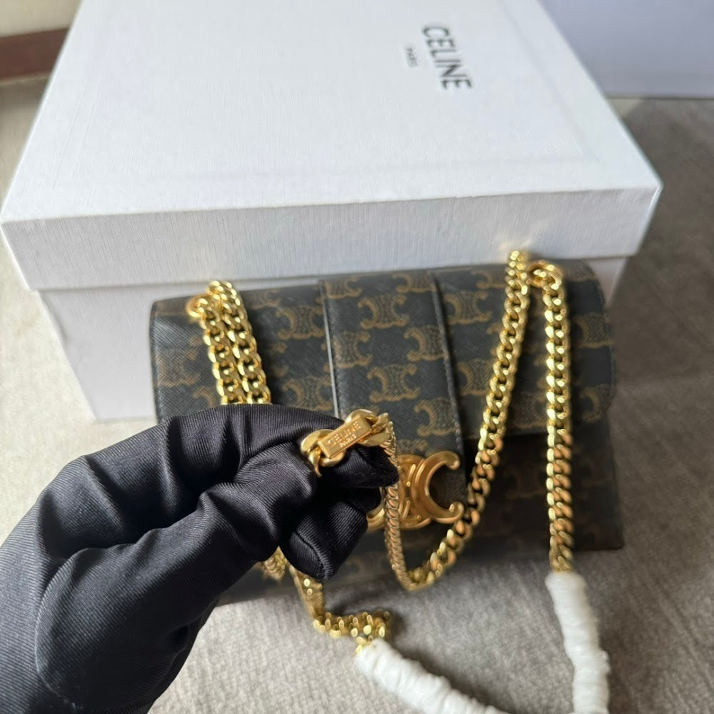 Dragons Bags Celine Luxury Bag --112202