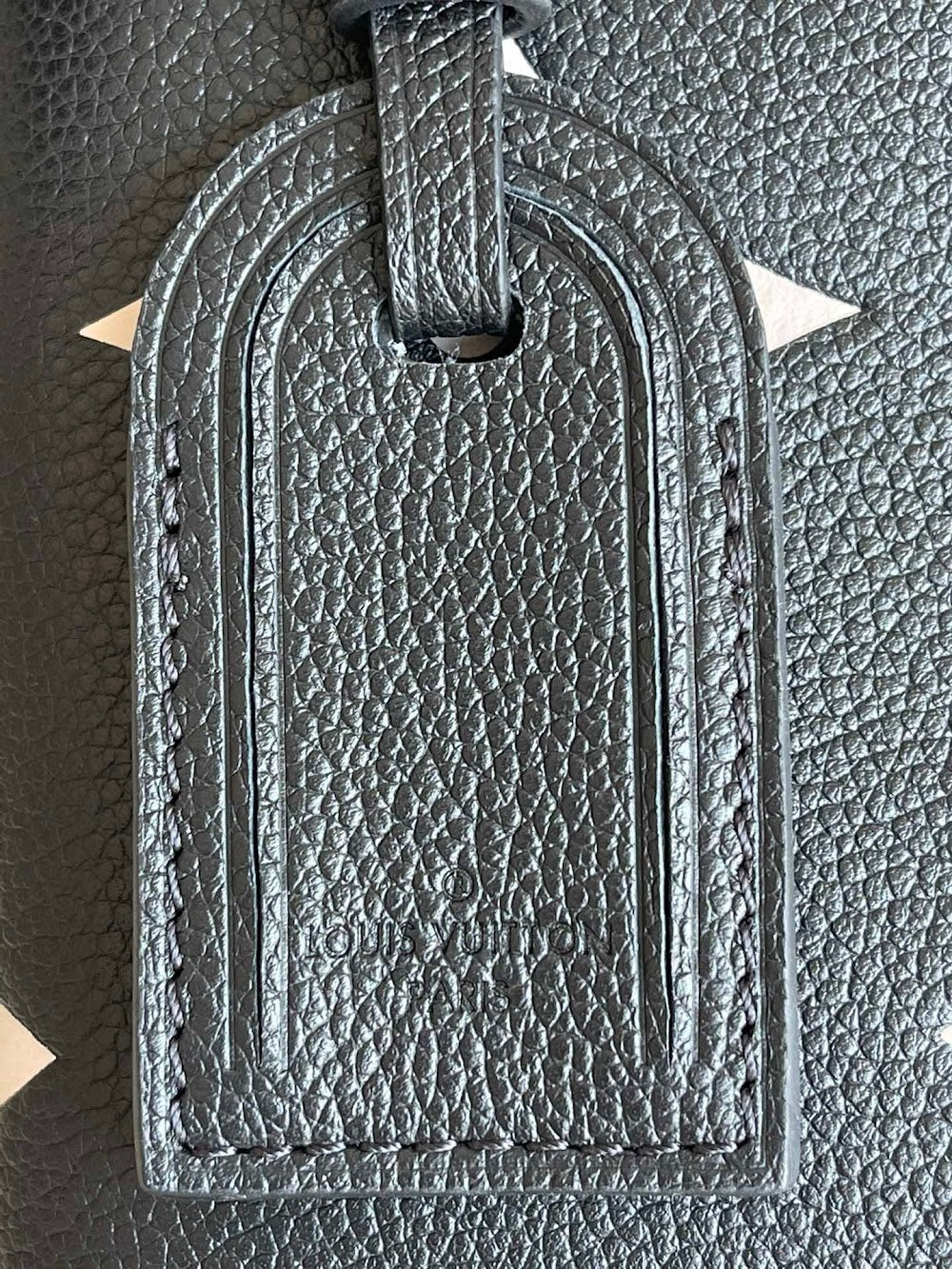 Dragons Bags ln Luxury Bag --96015